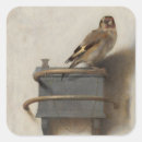 Search for birds finch stickers Goldfinch