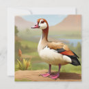 Search for bird pictures invitations Wildlife