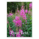 Search for fireweed Flora