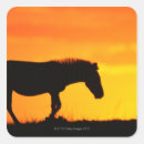 Search for savanna stickers Wildlife