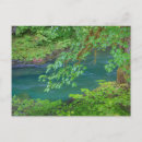 Search for washington state parks postcards Stream