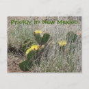 Search for prickly postcards Yellow
