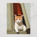 Search for fat cat postcards Pets