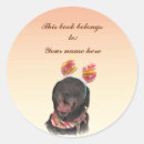 Search for black labrador dog plates Canine