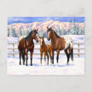 Search for foals postcards Cute foal