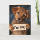 Search for cute sorry puppy cards Dogs