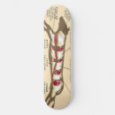 Search for barbecuing skateboards Beef