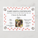 Search for for friend postcards For pets