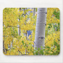 Search for aspen electronics Yellow