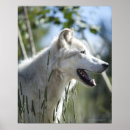 Search for wild side posters Standing