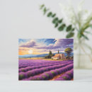 Search for lavender postcards Provence
