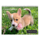 Search for puppy calendars Adorable