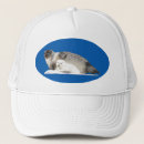 Search for digital animals accessories Nature