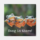 Search for tree frog magnets Cute