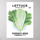 Search for lettuce art Garden