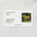 Search for deer business cards Hunter