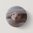 Search for cute rats badges Animal