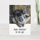Search for goat farm cards Livestock