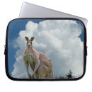Search for australian wildlife electronics Kangaroo