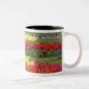 Search for blue tulips mugs Green
