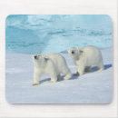 Search for polar bear mouse mats Wildlife