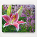 Search for stargazer mouse mats Nature