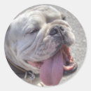 Search for funny happy face stickers Comical