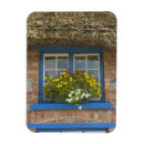 Search for blue window magnets White