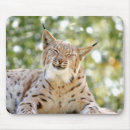 Search for snow picture mouse mats Animals