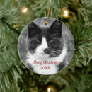 Search for tuxedo christmas tree decorations White