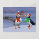 Search for auk postcards Puffin
