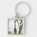 Search for kenya key rings Rural scene
