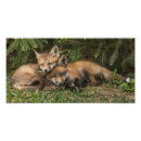 Search for embrace art Pair