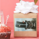 Search for annoyed stickers Cat