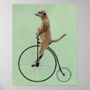 Search for meerkat posters Contemporary
