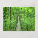 Search for suspension bridge postcards Usa