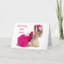 Search for happy divorce cards Promotion