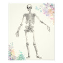Search for anatomy kodak posters Flowers