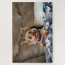 Search for tiny puzzles Canine