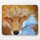 Search for foxy mouse mats Wild