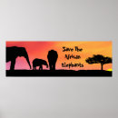 Search for save the elephant posters Elephants