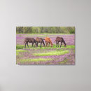 Search for luxury canvas prints Nature