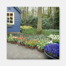 Search for keukenhof Netherlands