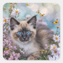 Search for cat and butterflies stickers Cats
