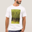 Search for cedar tree clothing Plants
