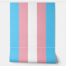 Search for flag colours art Transgender