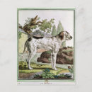 Search for braque Dog