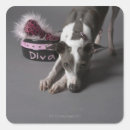 Search for diva stickers Pink
