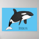 Search for killer whale posters Orcinus orca