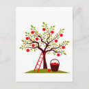Search for apple baskets postcards Autumn